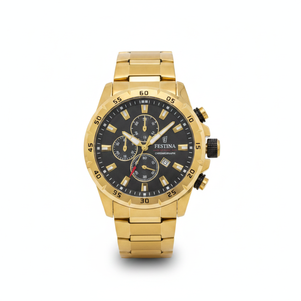 Montre Festina Chronographe Homme