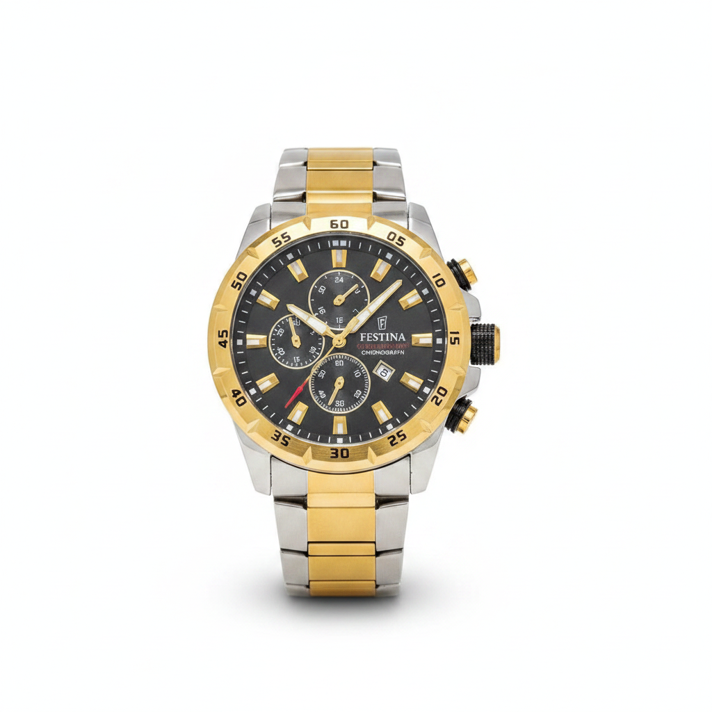 Montre Festina Chronographe Homme